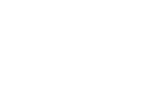 Pro Solution Service ApS